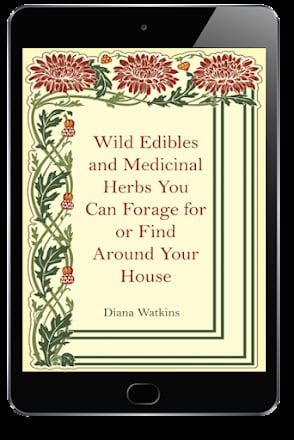 Medicinal Garden Kit